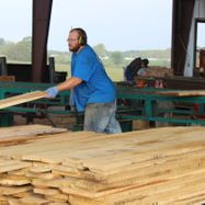 Timber Services In Marionville